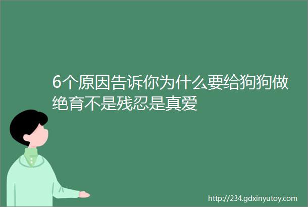 6个原因告诉你为什么要给狗狗做绝育不是残忍是真爱